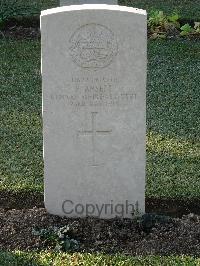 Salonika (Lembet Road) Military Cemetery - Ansell, F